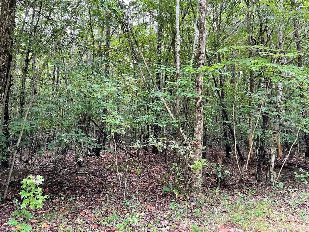 10+ac Beech Creek  (10.88ac) RD, GLOUCESTER VA 23061 thumb 9