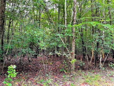 10+ac Beech Creek  (10.88ac) RD, GLOUCESTER VA 23061 thumb 9