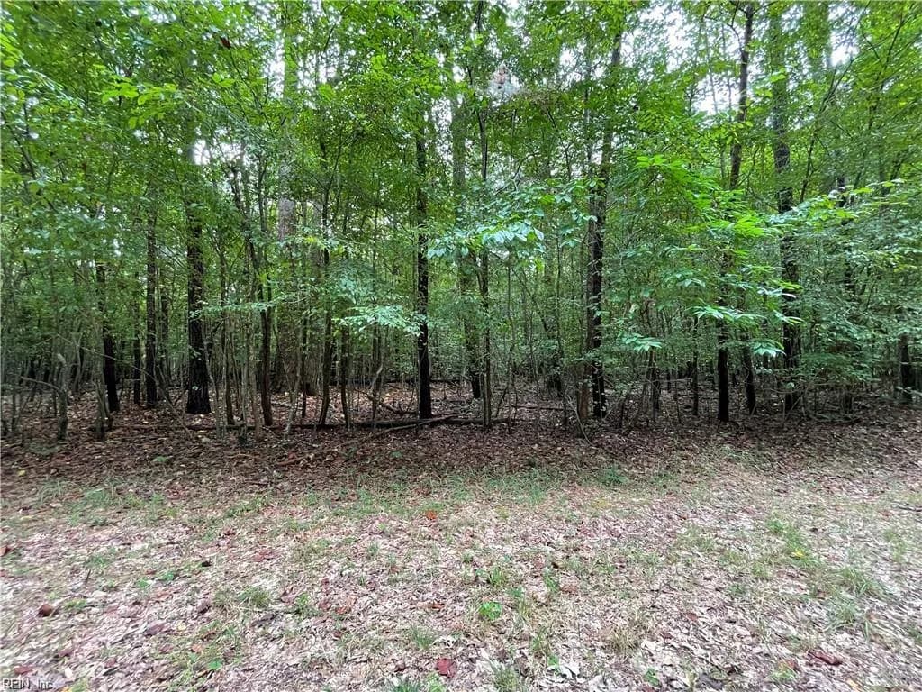 10+ac Beech Creek  (10.88ac) RD, GLOUCESTER VA 23061 thumb 10