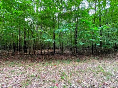 10+ac Beech Creek  (10.88ac) RD, GLOUCESTER VA 23061 thumb 10