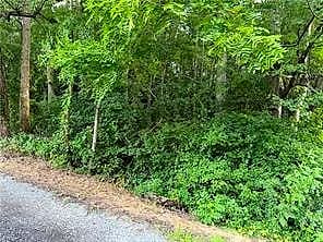 1.00AC Clay Bank RD, GLOUCESTER VA 23061 - Main photo
