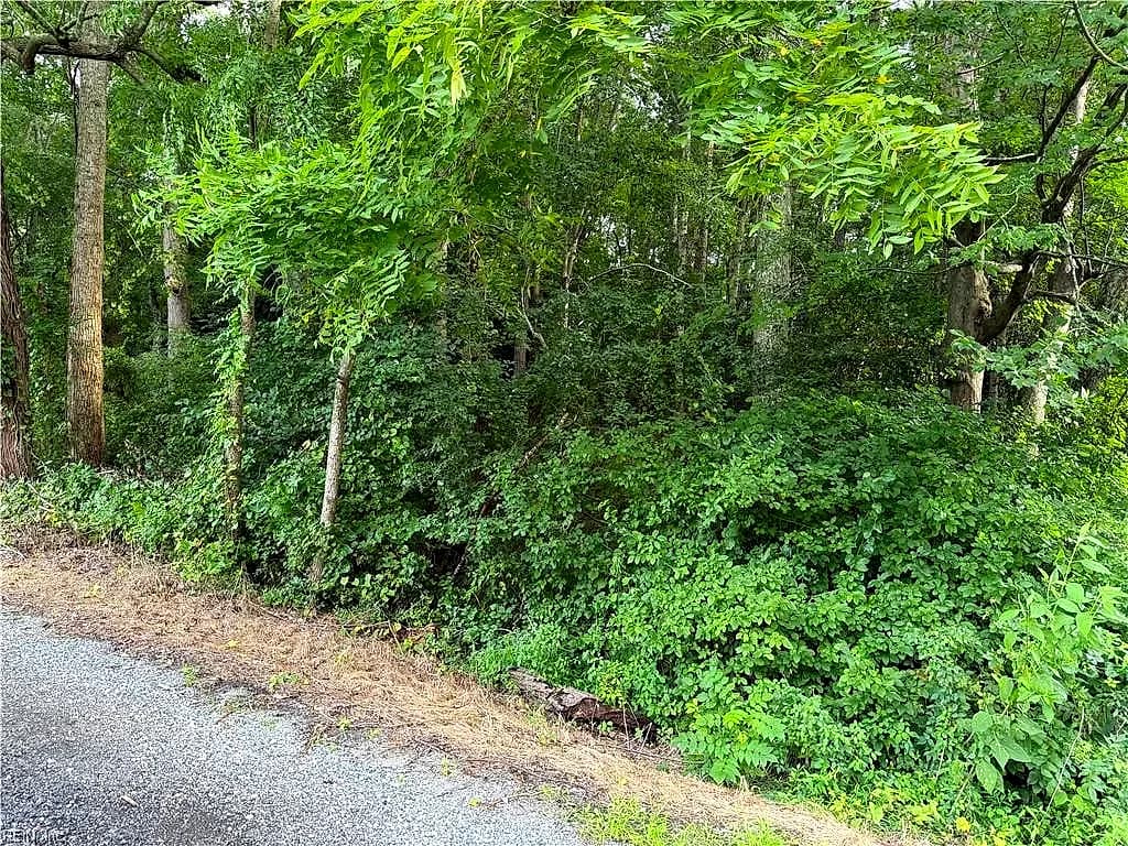 1.00AC Clay Bank RD, GLOUCESTER VA 23061 - Photo 2