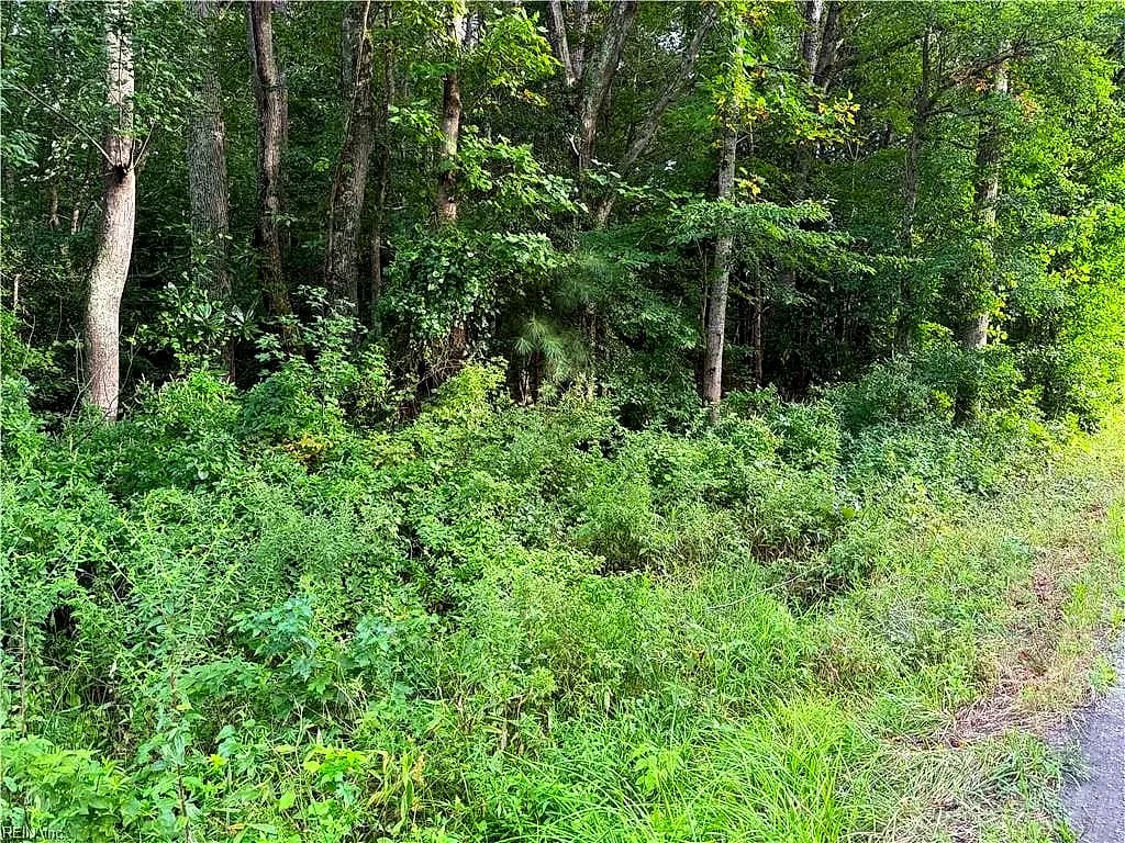 1.00AC Clay Bank RD, GLOUCESTER VA 23061 - Photo 3