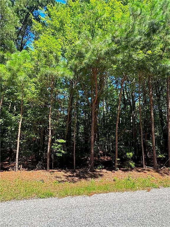 Lot 8 Peaceful Ponds NONE, JAMESVILLE VA 23398 - Main photo