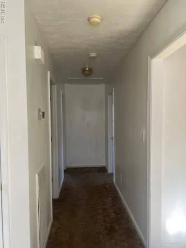 29029 EVERETT ST, NEWSOMS VA 23874 thumb 5