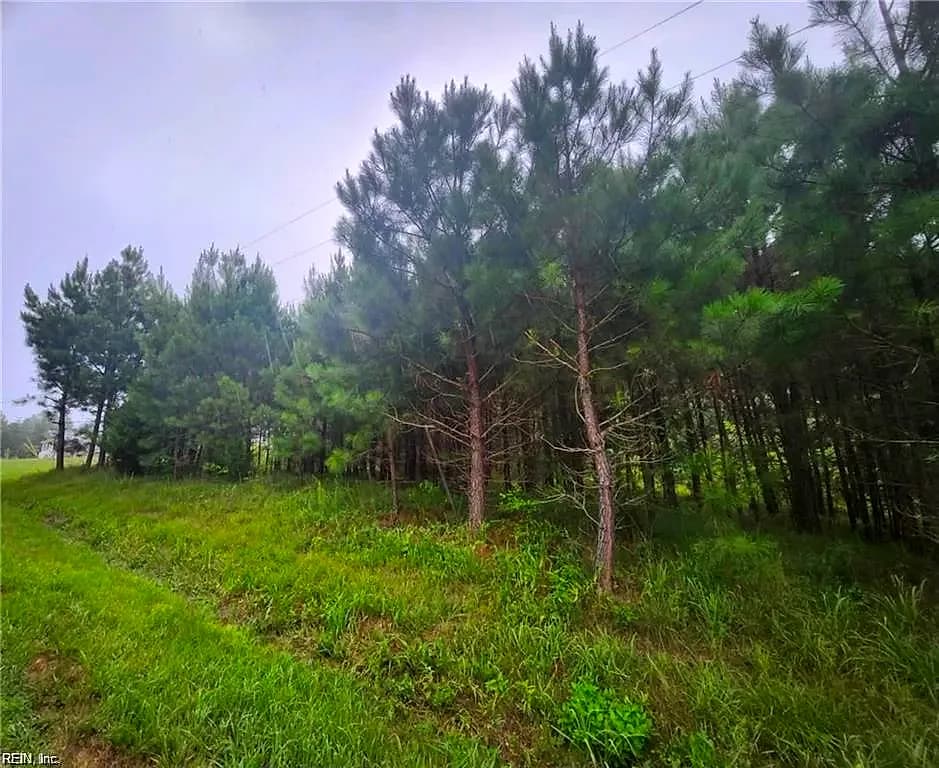 .51+AC Splendors Subd NONE, HURT VA 24563 - Photo 3
