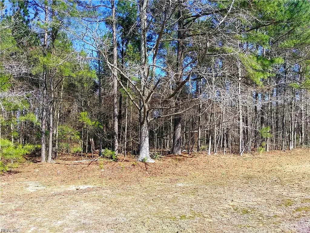 42-7B College RN, ELBERON VA 23846 - Photo 3