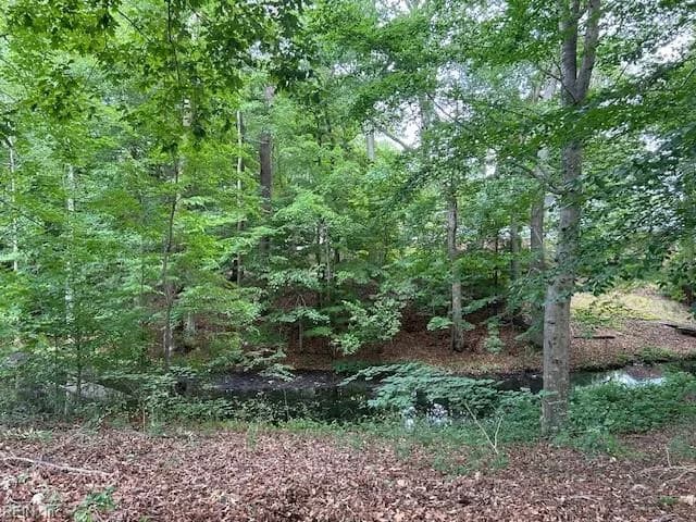 917 Lacon DR, NEWPORTNEWS VA 23608 thumb 6