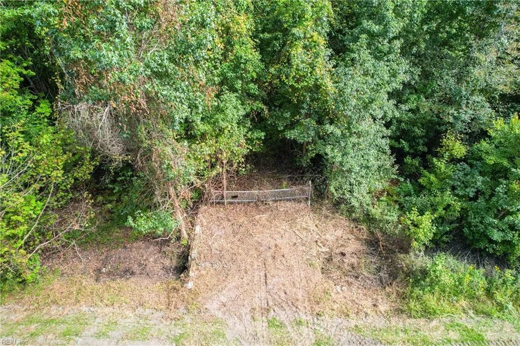 2.5AC S George Washington HWY, CHESAPEAKE VA 23322 - Main photo