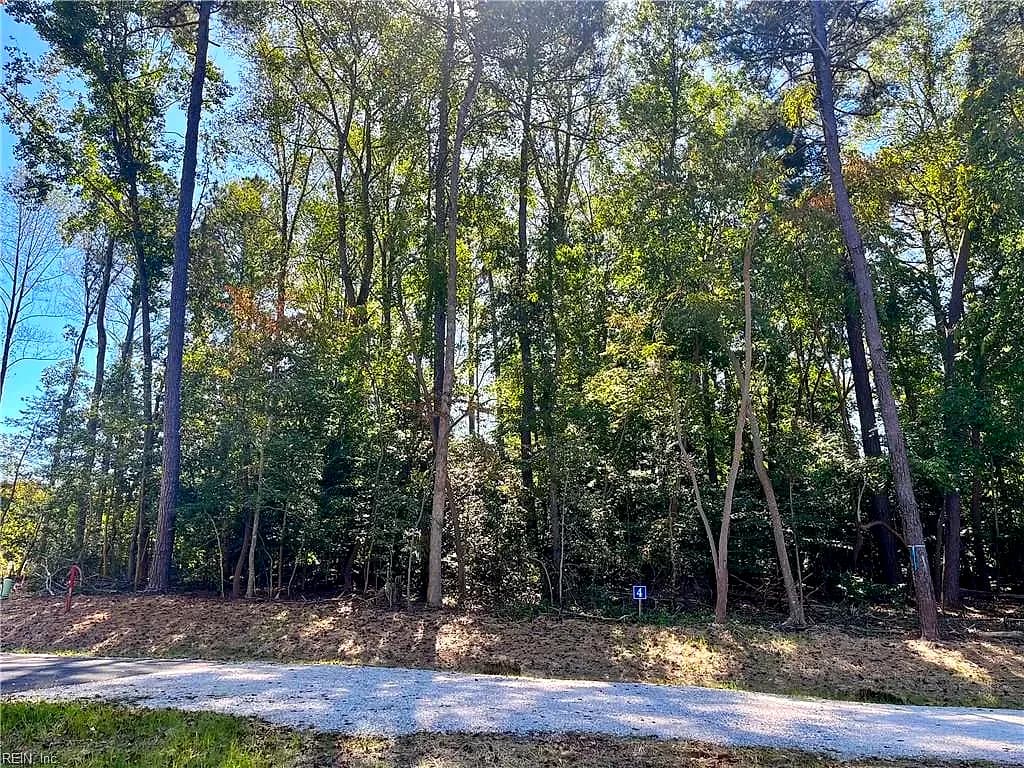 5349 Ridgewood HLS, WILLIAMSBURG VA 23188 - Photo 3