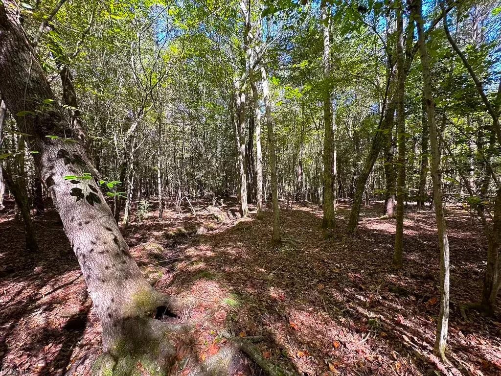 45.5 Acres Cypress Chapel RD, SUFFOLK VA 23434 thumb 11