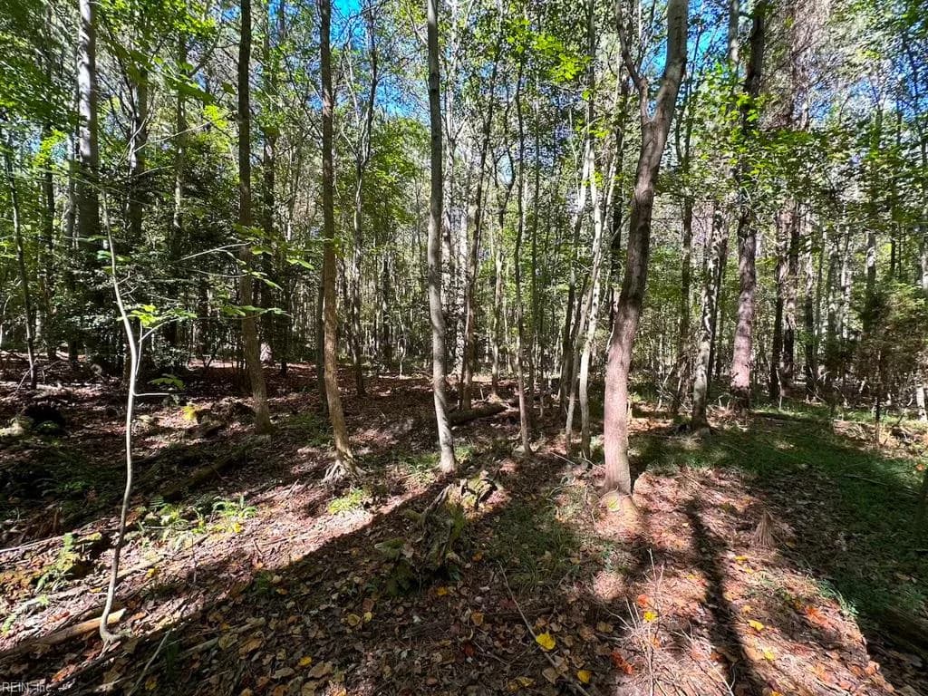 45.5 Acres Cypress Chapel RD, SUFFOLK VA 23434 thumb 8