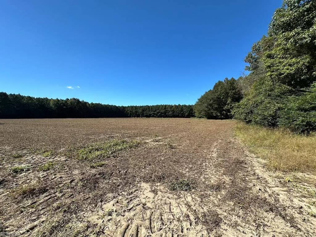 45.5 Acres Cypress Chapel RD, SUFFOLK VA 23434 thumb 9