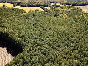 15 Acres Cypress Chapel RD, SUFFOLK VA 23434 thumb 12