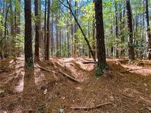 15 Acres Cypress Chapel RD, SUFFOLK VA 23434 thumb 7