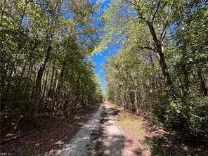 15 Acres Cypress Chapel RD, SUFFOLK VA 23434 thumb 9