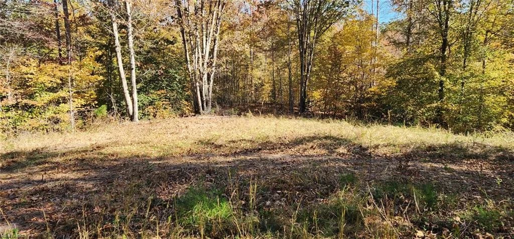 16.4ac Plainview DR, SALUDA VA 23149 thumb 11