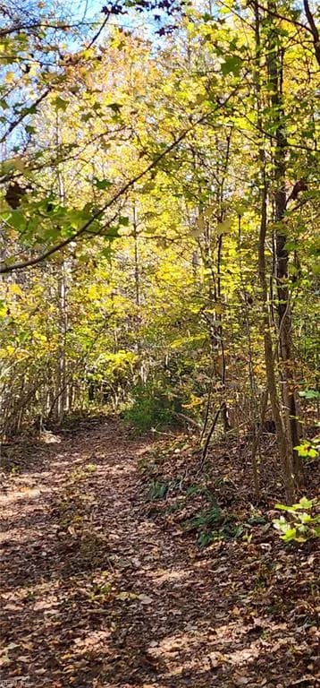 16.4ac Plainview DR, SALUDA VA 23149 thumb 12