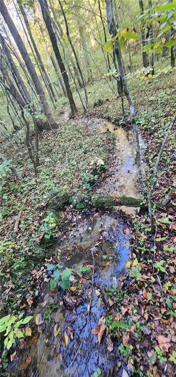 16.4ac Plainview DR, SALUDA VA 23149 thumb 6