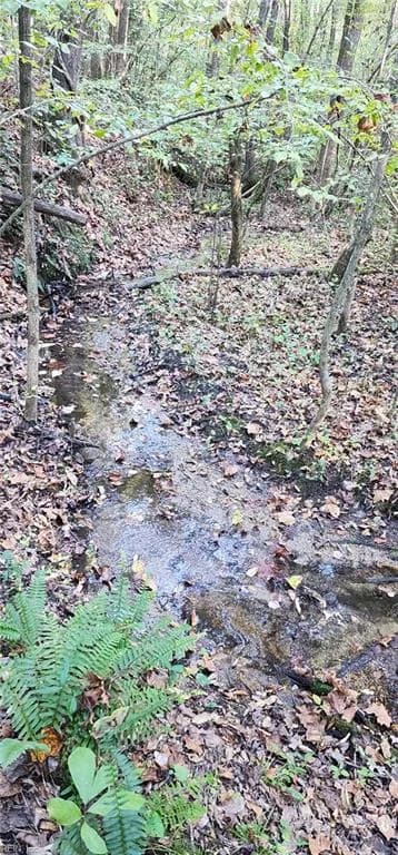 16.4ac Plainview DR, SALUDA VA 23149 thumb 7