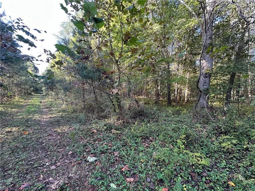 16.4ac Plainview DR, SALUDA VA 23149 thumb 9