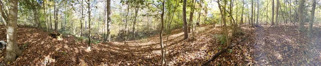 16.4ac Plainview DR, SALUDA VA 23149 thumb 10