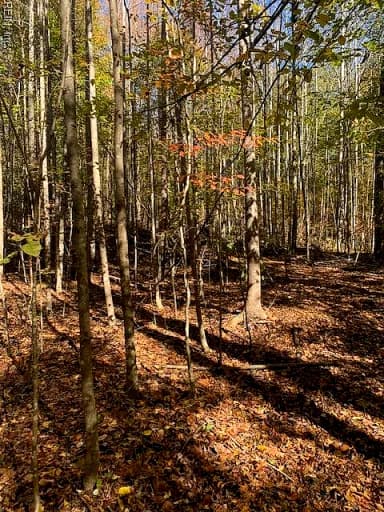 17+ac T.C. Walker Rd (Off of). Rt. 629 LN, GLOUCESTER VA 23061 thumb 2