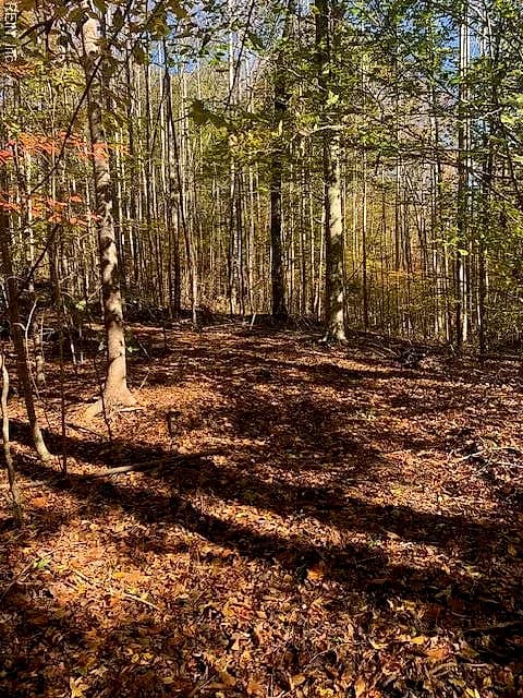 17+ac T.C. Walker Rd (Off of). Rt. 629 LN, GLOUCESTER VA 23061 - Photo 3
