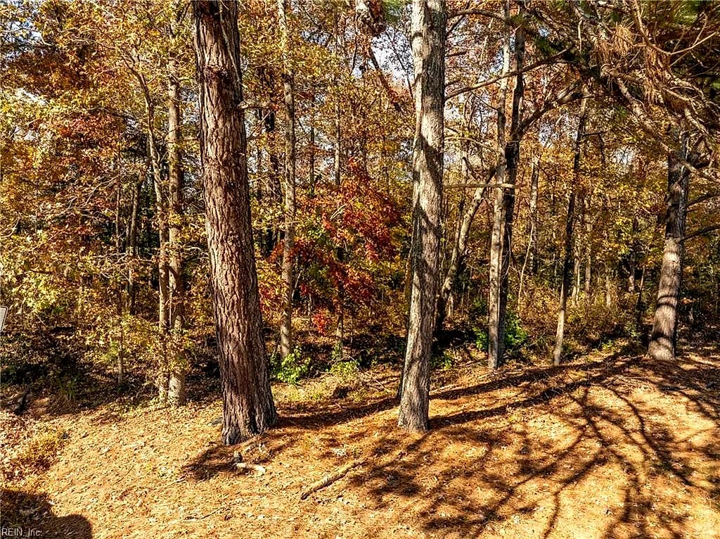 2.7ac Twilight ST, WAKEFIELD VA 23888 - Photo 4