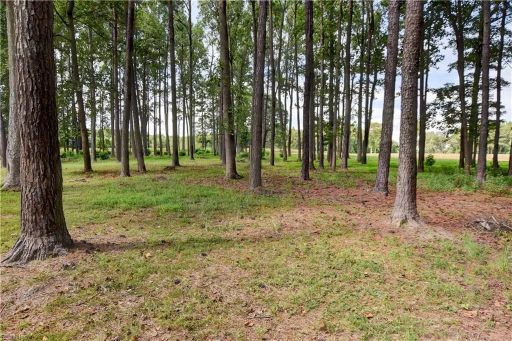 1.75ac Cobham Wharf RD, SURRY VA 23883 - Main photo
