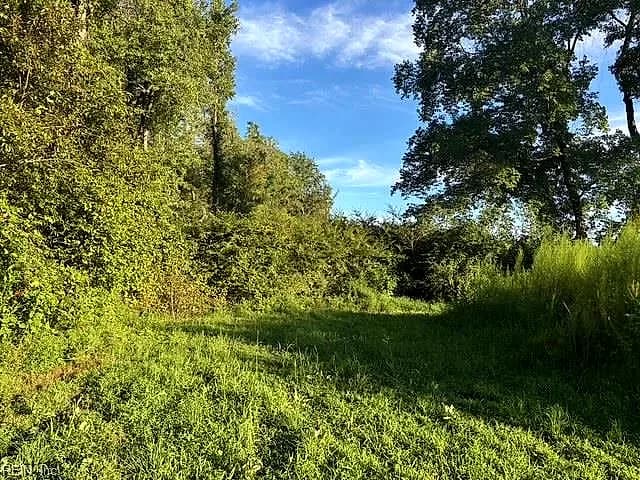 7496 Yellow Hammer RD, ZUNI VA 23898 thumb 12
