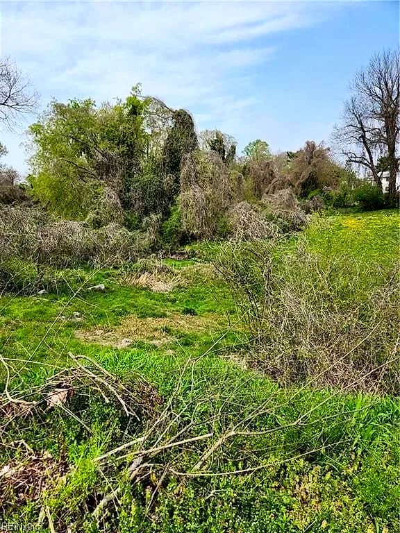 134 Mahan ST, SUFFOLK VA 23434 - Photo 2
