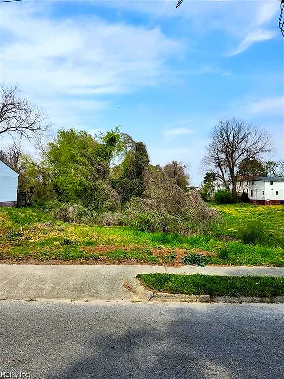 136 Mahan ST, SUFFOLK VA 23434 - Photo 2