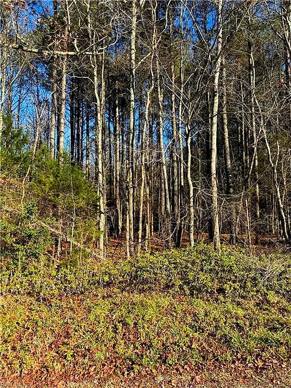 .95AC Cowpen Neck RD, GLOUCESTER VA 23061 - Photo 3