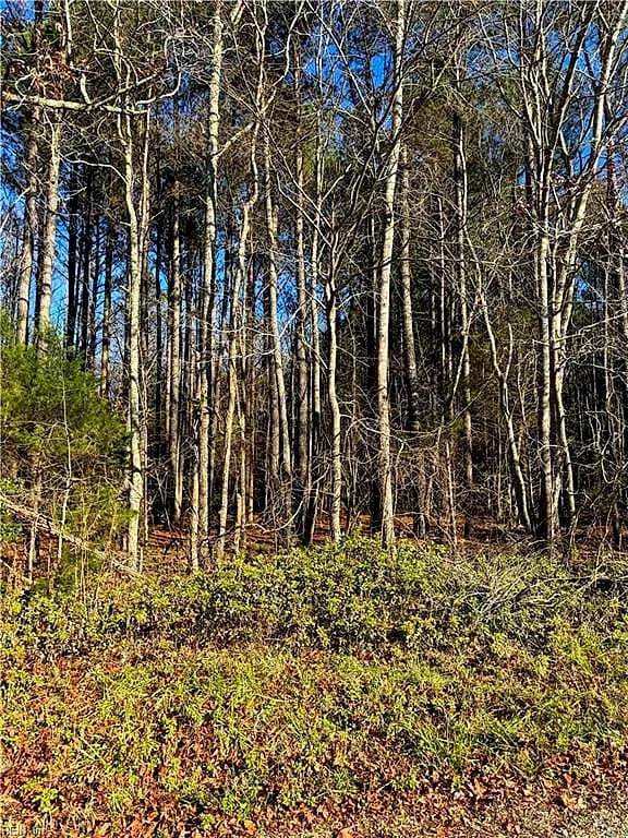 .95AC Cowpen Neck RD, GLOUCESTER VA 23061 - Photo 5