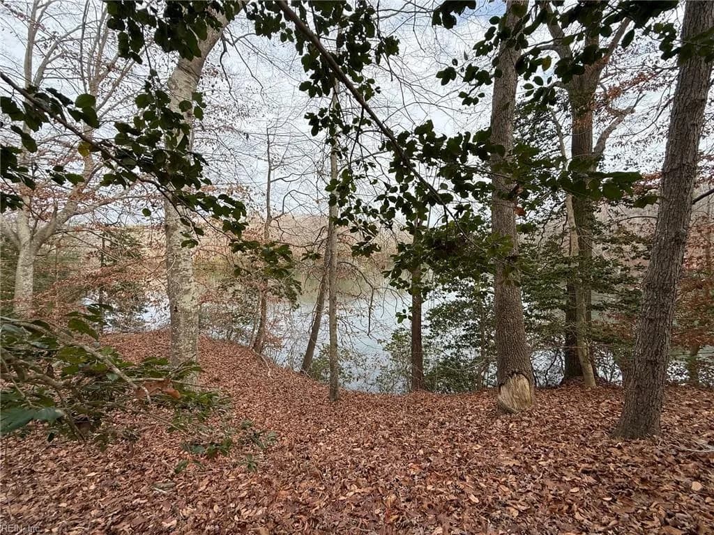 5.46AC Haynes Pond WAY, GLOUCESTER VA 23061 - Main photo