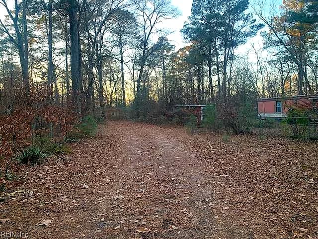5217 Blackie LN, ZUNI VA 23898 - Photo 4