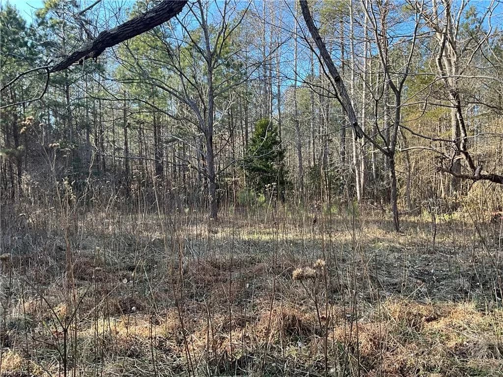 17.4AC Salem Wood RD, GLOUCESTER VA 23061 - Main photo