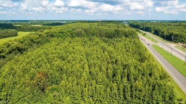 Lot 2 Princess Anne RD, VIRGINIA BEACH VA 23456 thumb 10