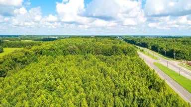 Lot 3 Princess Anne RD, VIRGINIA BEACH VA 23456 thumb 11