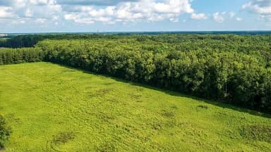 Lot 4 Princess Anne RD, VIRGINIA BEACH VA 23456 thumb 7