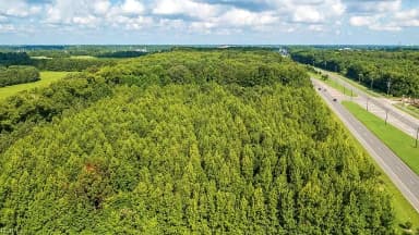 Lot 4 Princess Anne RD, VIRGINIA BEACH VA 23456 thumb 10
