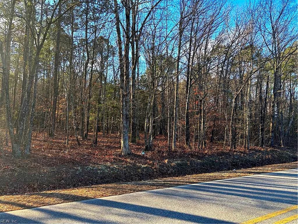 7.88ac Eleytown RD, MURFREESBORO NC 27855 - Photo 3