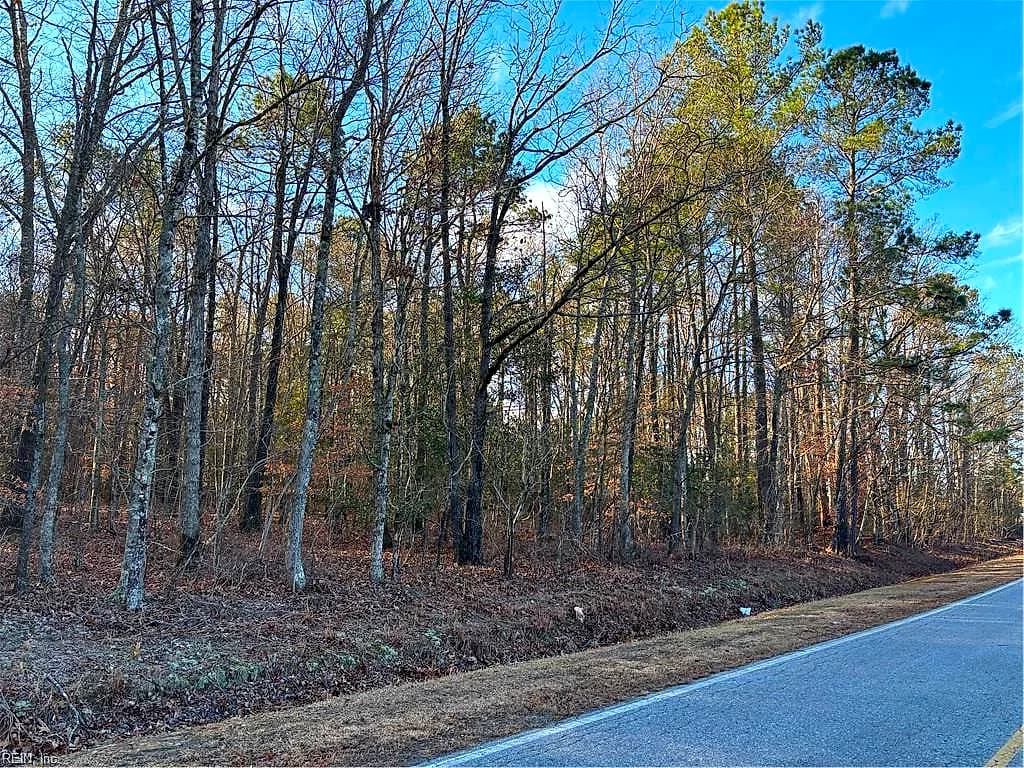 7.88ac Eleytown RD, MURFREESBORO NC 27855 - Photo 4