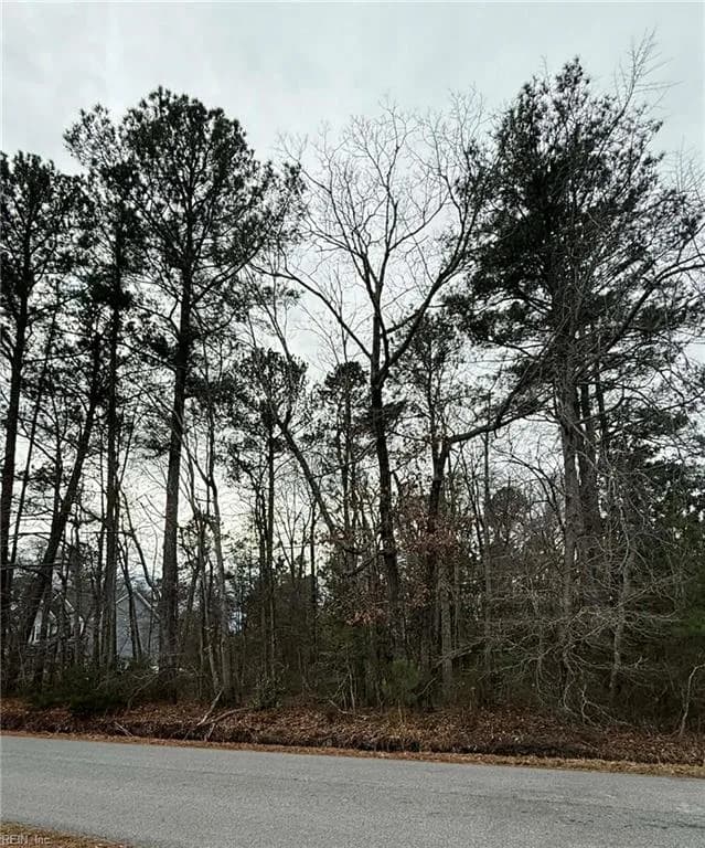 1AC Holy Neck RD, SUFFOLK VA 23437 - Main photo