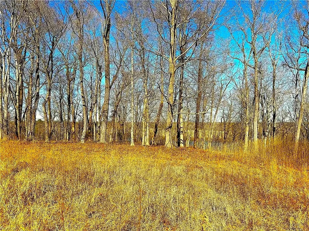 3.43AC Boxwood Shores DR, BOYDTON VA 23917 thumb 11