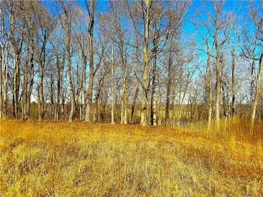 3.43AC Boxwood Shores DR, BOYDTON VA 23917 thumb 11