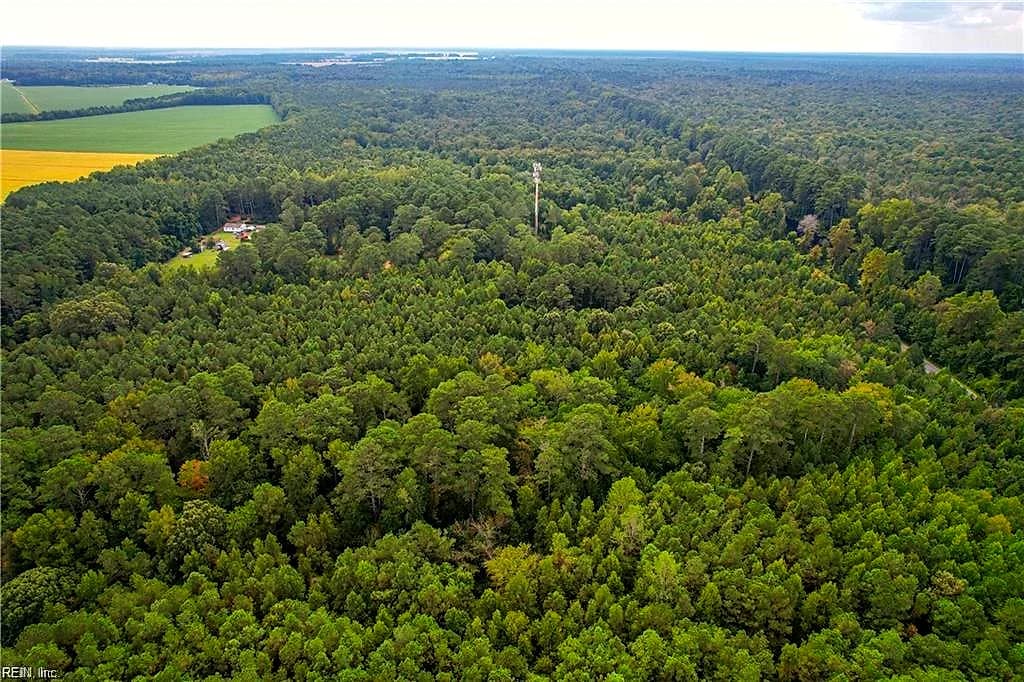 2.5 Ac Dismal Swamp Canal TRL, CHESAPEAKE VA 23322 thumb 11