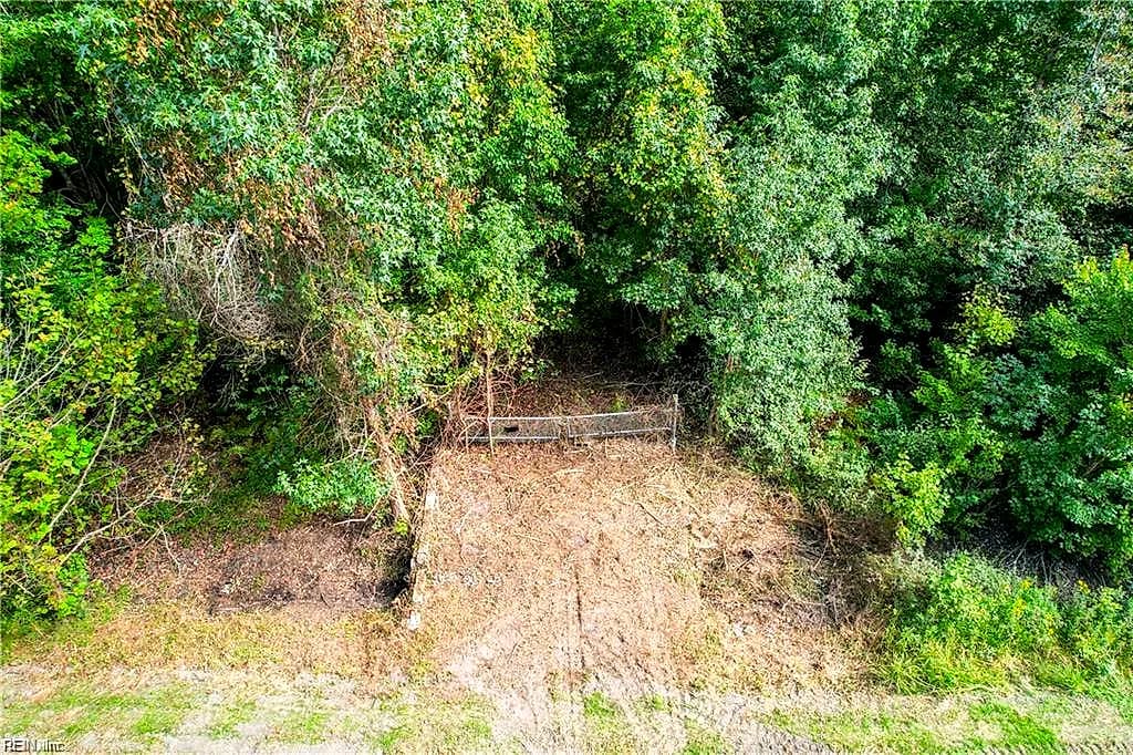2.5 Ac Dismal Swamp Canal TRL, CHESAPEAKE VA 23322 - Photo 3