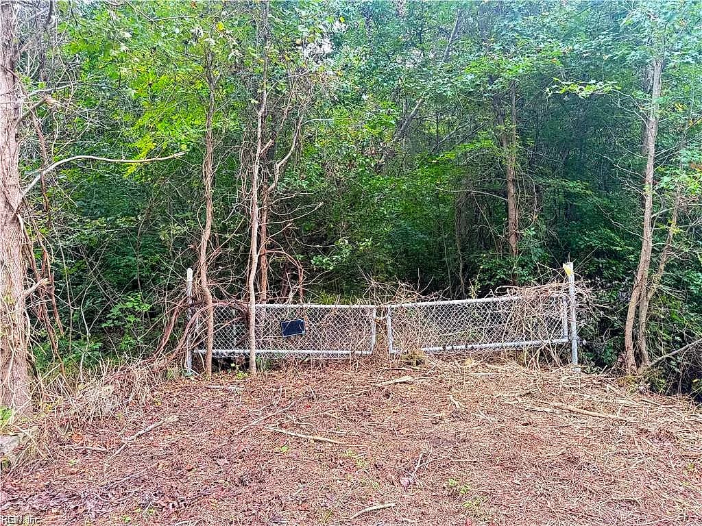 2.5 Ac Dismal Swamp Canal TRL, CHESAPEAKE VA 23322 - Photo 4